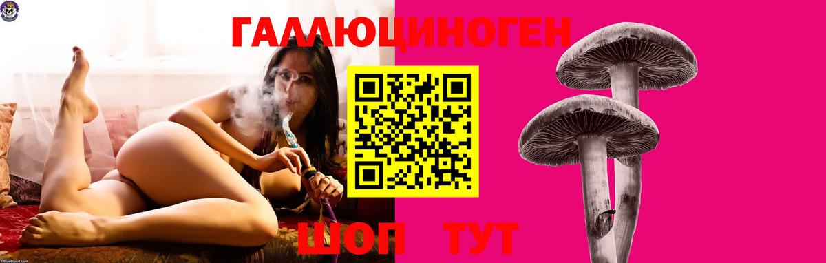 Новый Уренгой  Галлюциногенные грибы прущие грибы  Вход с VPN  Галлюциногенные грибы мухоморы 